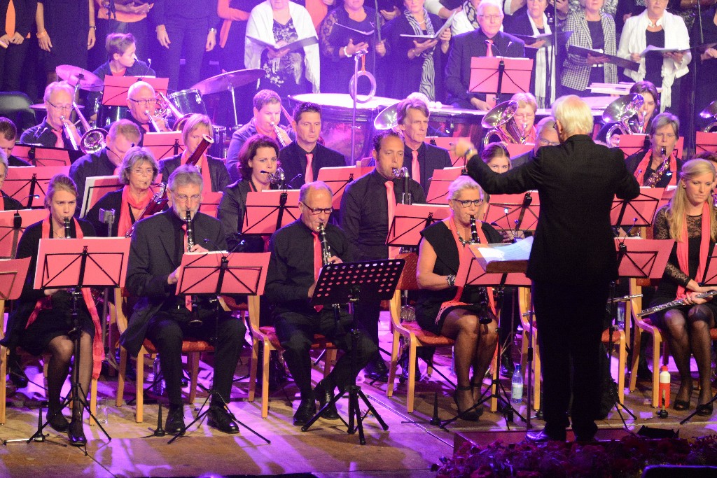 ../Images/Jubileumconcert 100 jaar Harpe Davids 023.jpg